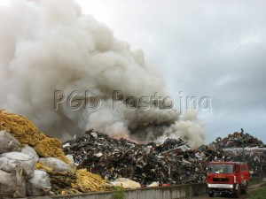 IMG_5910