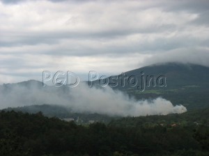 IMG_5913