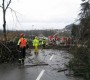 Jamska cesta v Postojni, 11. februar (žled)