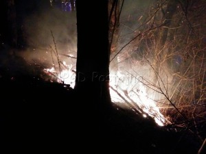 img_20170101_001732
