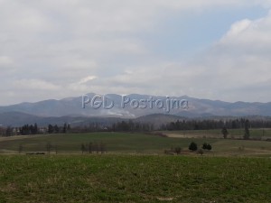 20170320_133341
