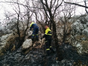IMG_20170321_082837